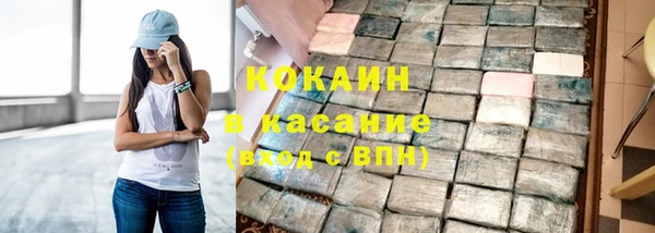 индика Нефтегорск