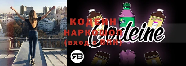 индика Нефтегорск
