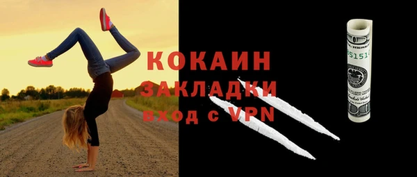 прущие грибы Новодвинск