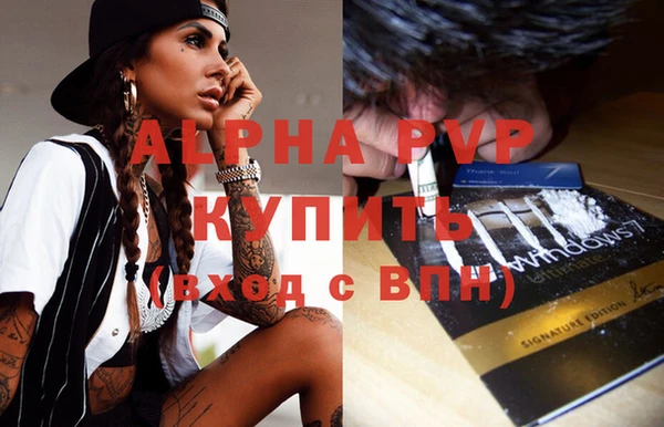 индика Нефтегорск