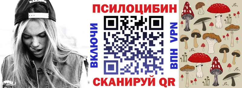 shop официальный сайт  Новохопёрск  Псилоцибиновые грибы мицелий  наркота 